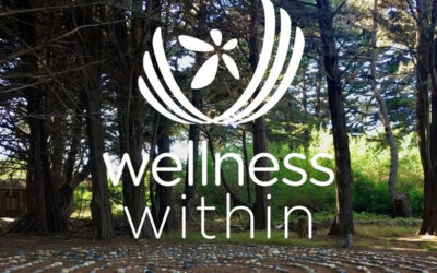 Wellness Within – Thriver Conversation with Kevin Roth – Music, Mindfulness & Finding what Matters